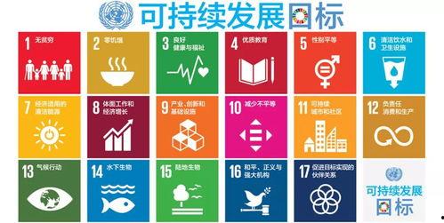 奥园集团爆料新闻最新,揭秘企业转型背后的故事与挑战